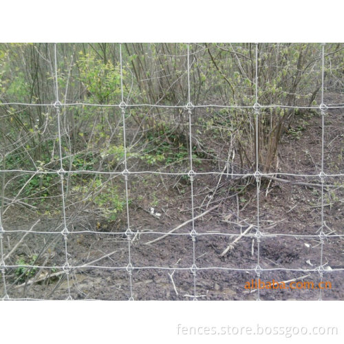 hot dipped galvanized fence (factory)